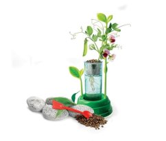 ȘTIINȚĂ - Botanică hidroponică