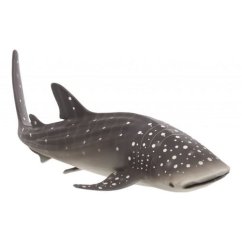 Requin-baleine Mojo