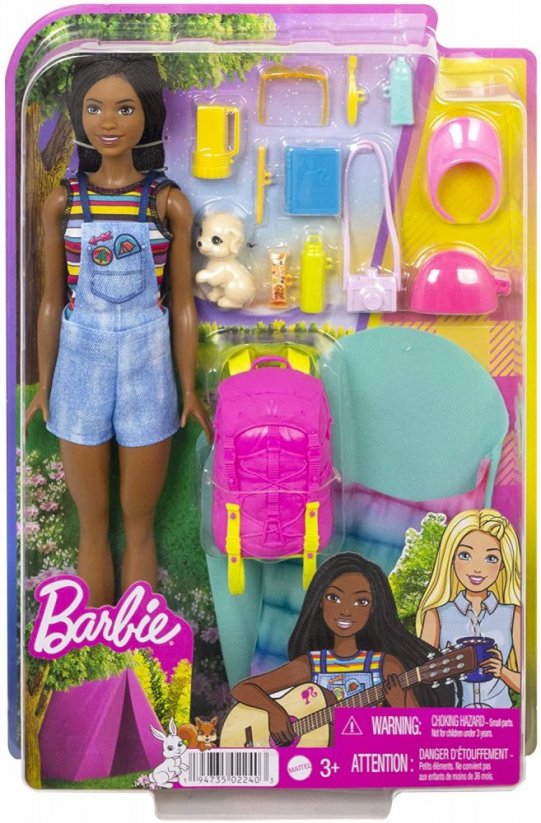 Barbie Dreamhouse Adventure kempující panenka Brooklyn