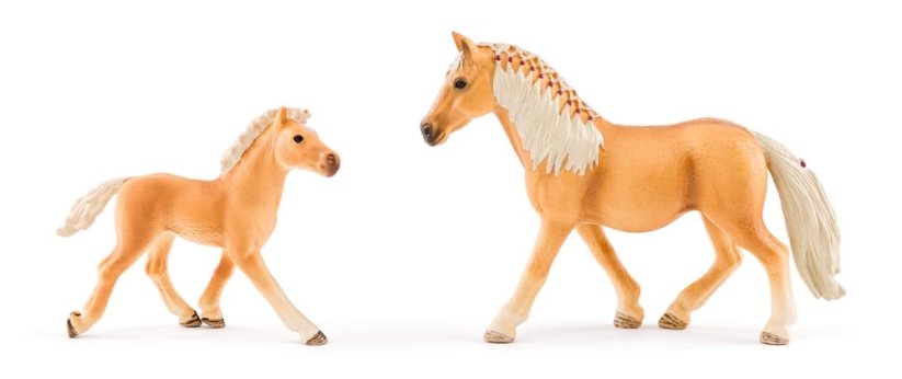 Stáj se dvěma koňmi