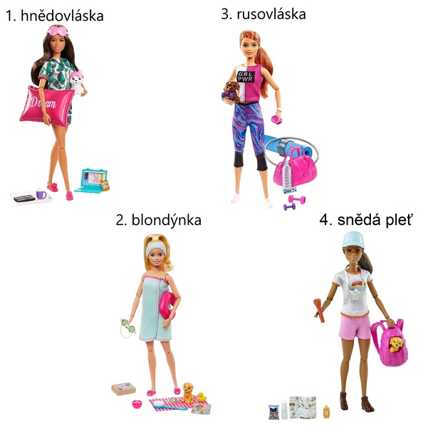 Barbie wellness panenka