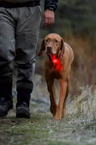 RUFFWEAR The Beacon™ Bezpečnostní světlo pro psa