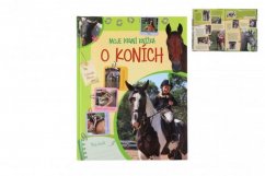 Mi primer libro sobre caballos - Mi diario 22x28cm