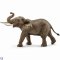 Schleich 14762 Afrikai hím elefánt
