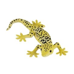 Mojo Gecko nocny gekon