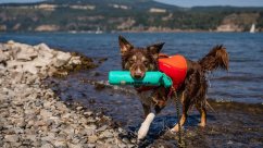 Ruffwear Lunker™ Hračka pro psy Aurora Teal