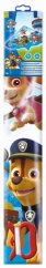 Dragon PAW PATROL
