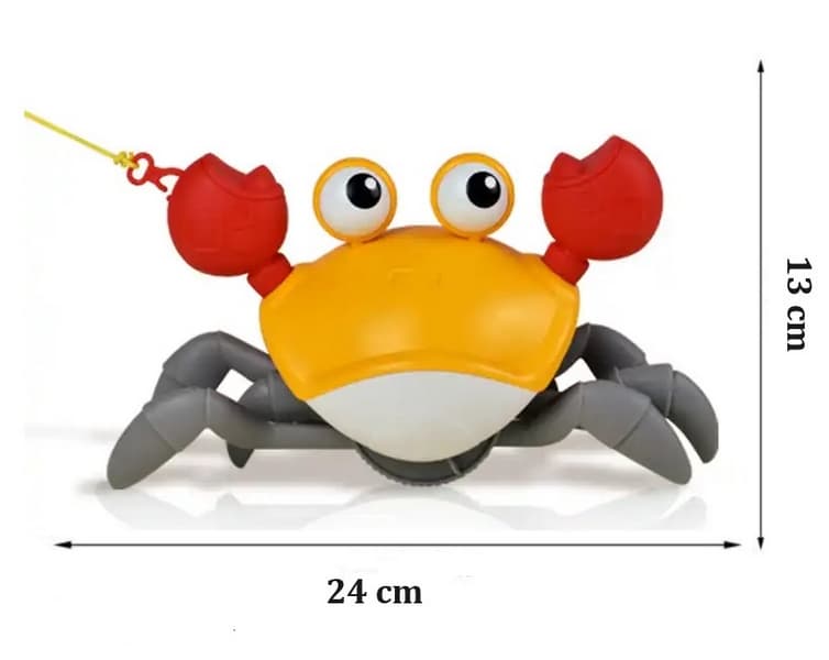 Crab de mers pe jos drăguț pe întindere