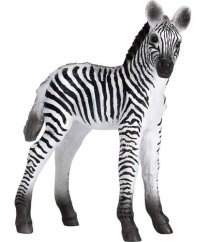 Mojo Zebra Cub
