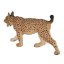 Zestaw startowy Mojo Forest Animals 4 szt.