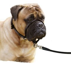 Karlie Ohlávka jednoduchá černá L