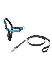 PetSafe® Postroj EasyWalk Deluxe modrý velikost L
