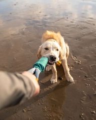 Ruffwear Pacific Loop™ Hračka pro psy Aurora Teal 52cm