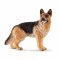 Schleich 16831 Câine ciobănesc german