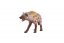 Hyène tachetée zootée 8cm