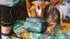 RUFFWEAR Great Basin™ Miska pro psy L