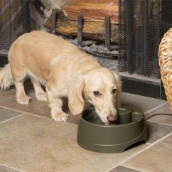 PetSafe® Current Fontánka L