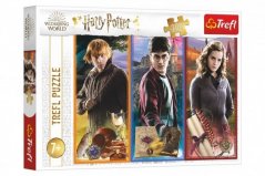 Puzzle În lumea magiei și a vrăjitoriei/Harry Potter 200 de piese