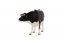 Býk strakatý černobílý zooted plast 13cm v sáčku