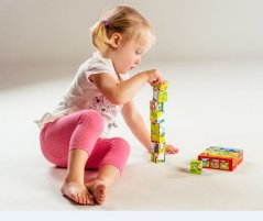 Fa blokkok Az első állataim 9db