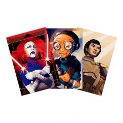 Chronicle Books Star Wars Personnages féminins 100 cartes postales