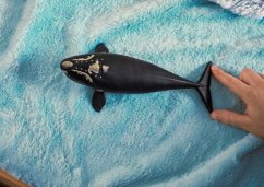 Schleich 14878 Baleine franche de l'Atlantique Nord