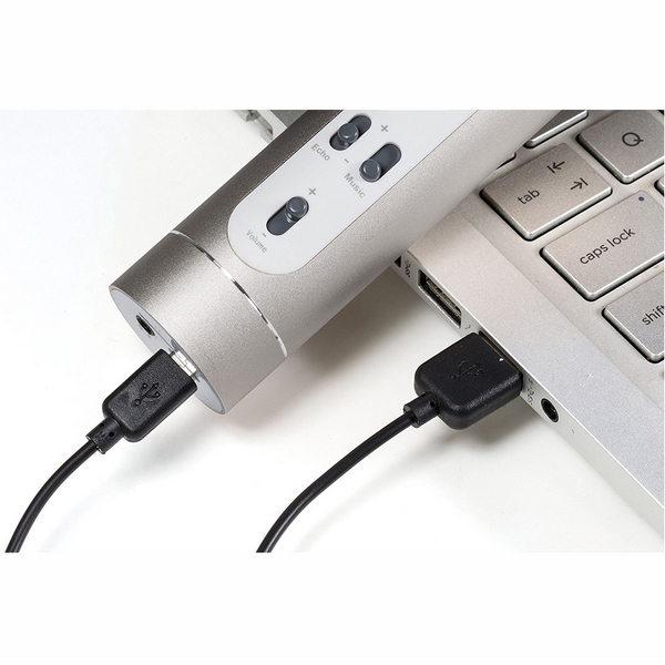Microphone Karaoké Bluetooth argenté à piles avec USB