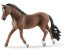 Schleich 13909 castrone Trakehner