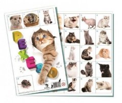 Pexeso Cats jeu de société 32 paires d'images
