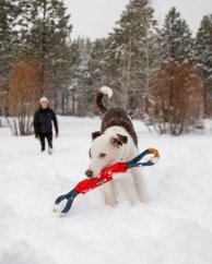 Ruffwear Pacific Loop™ Hračka pro psy Sockeye Red 52cm