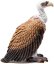 Schleich 14847 Animal - Vautour