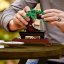LEGO Creator 10281 Bonsaj