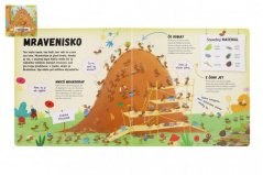 Kniha Čo sa deje v mravenisku SK verzia