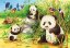 Ravensburger Puzzle 2x24 dielikov Roztomilé koaly a pandy