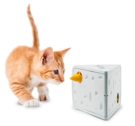 FroliCat® CHEESE™ Automatic Cat Teaser