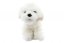 Pluszowy pies maltańczyk 18 cm ECO-FRIENDLY