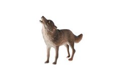 Wilk pospolity zootechniczny plastikowy 10cm w worku