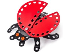 Merkur - Coléoptères - Coccinelle, 37 pièces