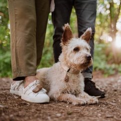 TICKLESS ECOPET Ultrahangos kullancs- és bolhariasztó kutyáknak Barna