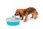 PetSafe® Butterfly Fontánka 1,5l