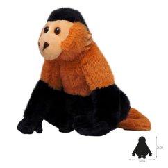 Wild Planet - Peluche de mono capuchino Malpa