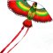 SPORTO Dragon zburător - papagal