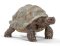 Schleich 14824 Želva obrovská