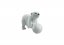 Wiltopia - Młode niedźwiedzia polarnego