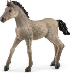 Schleich 13949 Animal Foal Criollo Definitivo