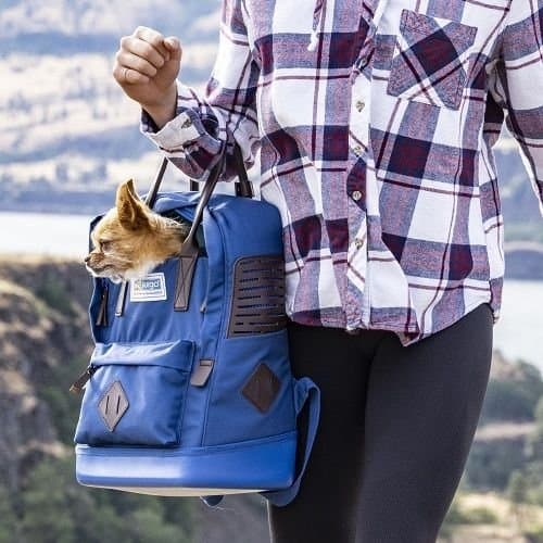 Kurgo® Nomad Carrier Batoh pro psa modrý