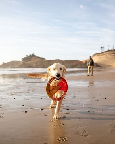 Ruffwear Pacific Ring™ Hračka pro psy Aurora Teal 27cm