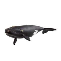 Schleich 14878 Baleine franche de l'Atlantique Nord