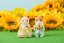 Sylvanian Families  Rodina křečků