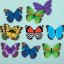 Mudpuppy Pexeso papillons